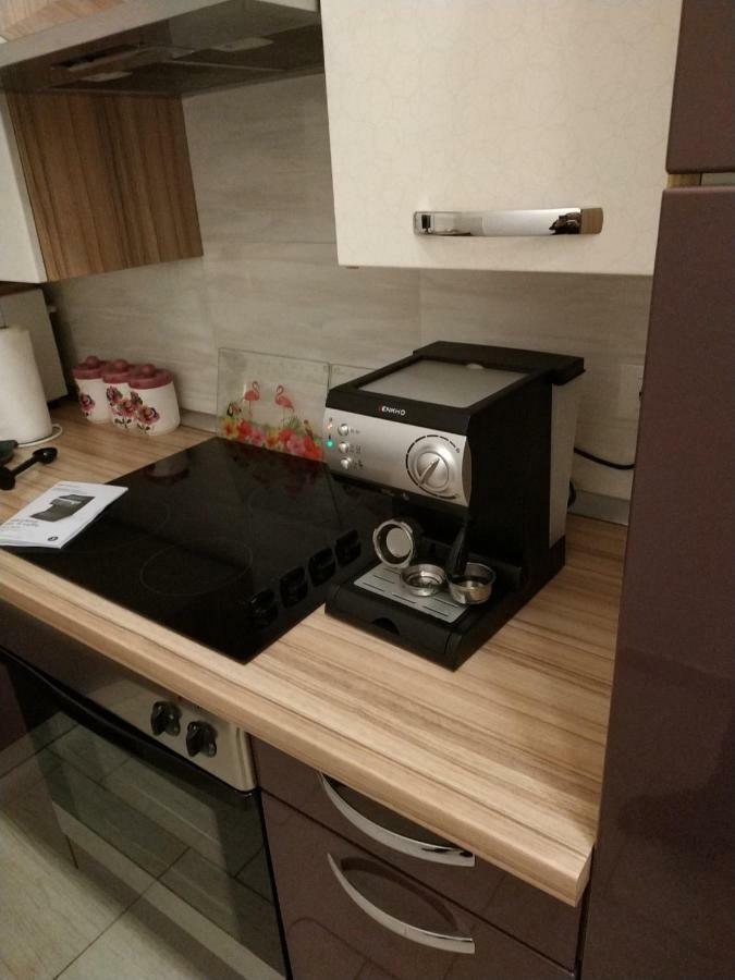 Apartment Dorina Buje Kültér fotó